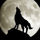 ���� ����, ������, 38 ��� - ��������� 24 ������� 2022 � ������ ���� ����������