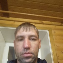 , 41 , 