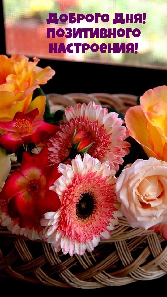   ,    . - 18  2022  14:35 - 2