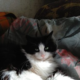 ���� ����, �����-���������, 46 ��� - ��������� 11 ���� 2022