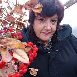 ���� �������, ������������, 64 ���� - ��������� 11 ������� 2022