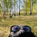 ���� ������, �����������, 45 ��� - ��������� 9 ������� 2022 � ������ ���� ����������