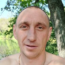 �������, ������, 39 ���