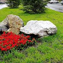 ���� ������, ������, 38 ��� - ��������� 20 ������� 2022 � ������ ��������� � �������� �����