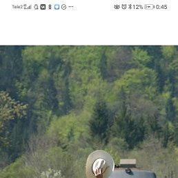 ����, ������, 52 ����