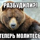 ���� ������, �������, 44 ���� - ��������� 15 ������� 2022 � ������ ���� ����������