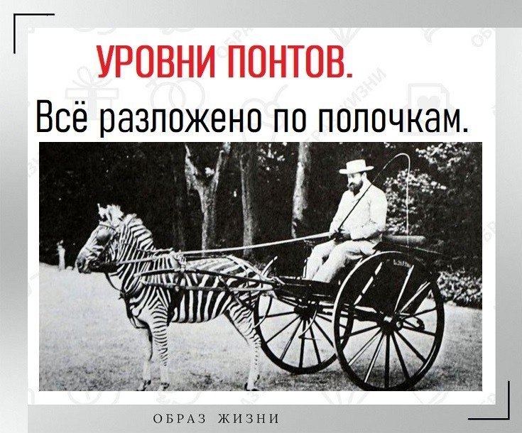 Сколько понтов. Понты 1 уровня. Уровни понтов. Уровни понтов по пелевину. Высказывания о понтах.