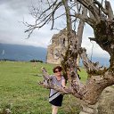 ���� �����, ���� - ��������� 7 ������� 2022 � ������ ���� ����������