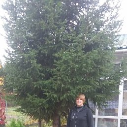 �������, ����, 58 ���