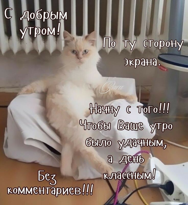***Victoria Viktorovna*** - 19  2022  07:38