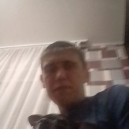 ����������, ������, 37 ���