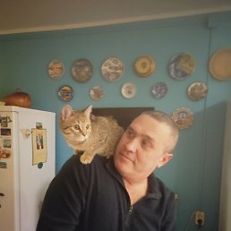 �����, ������, 55 ���