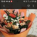 ���� ����, ���������� ����� - ��������� 27 ������ 2022 � ������ ���� ����������