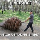 ���� Alex, ������, 39 ��� - ��������� 5 ������� 2022 � ������ �Images�