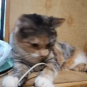 ���� �������, ������, 49 ��� - ��������� 11 ������ 2023 � ������ ������ ��������