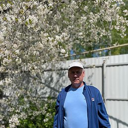 �����, ������, 62 ����