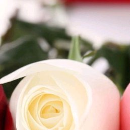 ���� ��������, ������, 30 ��� - ��������� 15 ������� 2023