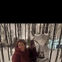���� �����, �����-���������, 49 ��� - ��������� 20 ������ 2022 � ������ ���� ����������