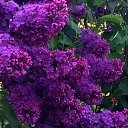 ���� �����, �������, 61 ��� - ��������� 6 ������� 2023 � ������ ���� ����������