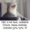 ���� Sasha, ����� - ��������� 9 ������� 2022 � ������ ������ ��������