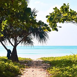 �����, ����, 72 ����