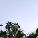 ���� ������, �����-��������� - ��������� 5 ������� 2022 � ������ ���� ����������