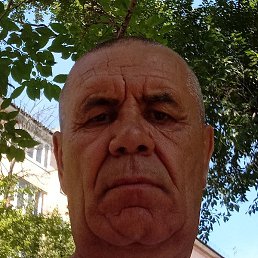 ��������, ������, 65 ���