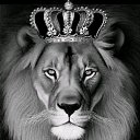 ���� �������, ������, 48 ��� - ��������� 28 ������� 2022 � ������ ���� ����������