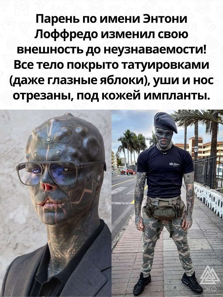     -   .      . - 2