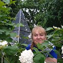 ���� ��������, �����-��������� - ��������� 28 ���� 2022 � ������ ���� ����������