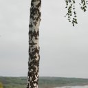  , , 56  -  31  2022    