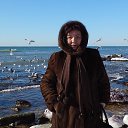 ���� �����, �����, 62 ���� - ��������� 3 ������� 2022 � ������ ���� ����������