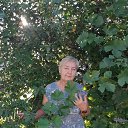 ���� ��������, ��������, 58 ��� - ��������� 31 ���� 2022 � ������ ���� ����������