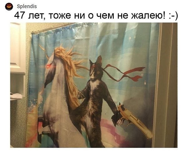 Неужели вы действительно считаете, что