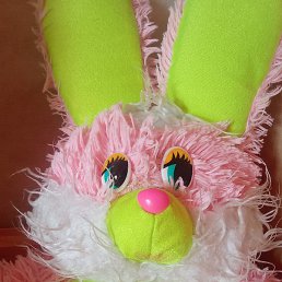 ��������, ���, 44 ����