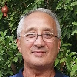 �����, ������, 65 ���