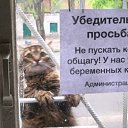 ���� ����, ������, 66 ��� - ��������� 11 ������� 2022 � ������ ���� ���� ������� ������