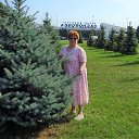 ���� ����, ������-��-����, 56 ��� - ��������� 24 ������� 2022 � ������ ���� ����������