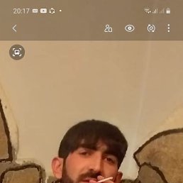 �����, ����������, 36 ���