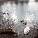 ���� �������, ������ - ��������� 5 ��� 2022 � ������ ���� ����������