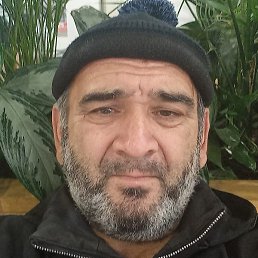 ����, �����-���������, 55 ���