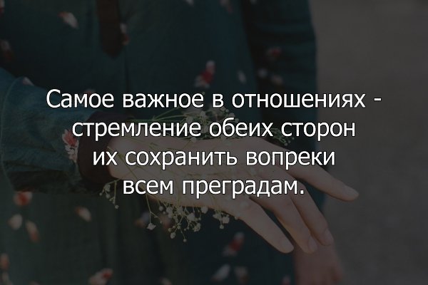 � ���� ����� - 21 ������� 2022 � 10:20