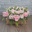  Elena, , 56  -  26  2022    