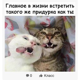 ������, ������, 50 ���