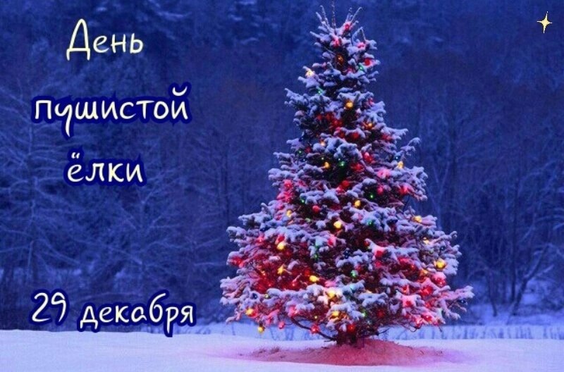   ,    . - 28  2022  21:33 - 3