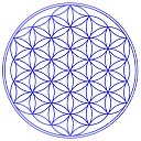  , , 51  -  31  2022    