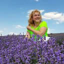 ���� ��������, �����-���������, 55 ��� - ��������� 5 ���� 2022 � ������ ���� ����������