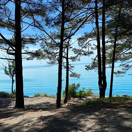 ������, ������, 47 ���