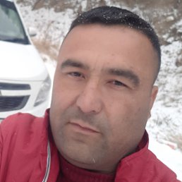 ������, �������, 37 ���