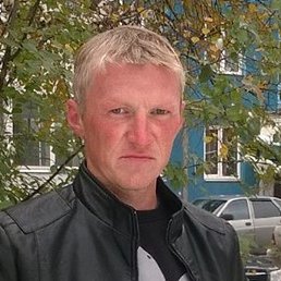 ������, ����������, 41 ���